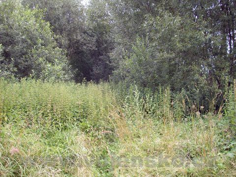 Foto 27